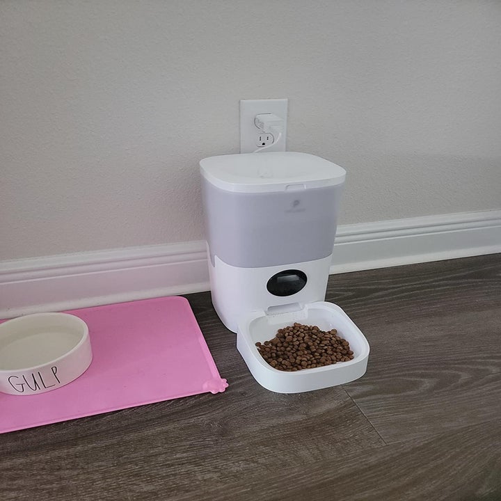 the white automatic feeder with food in the bowl