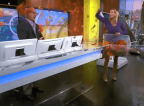 Jim Cantore having leaves thrown on him by Stephanie Abrams in gift