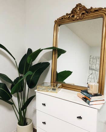 reviewer's gilded mirror balanced on top of a bedroom dresser beside a houseplant