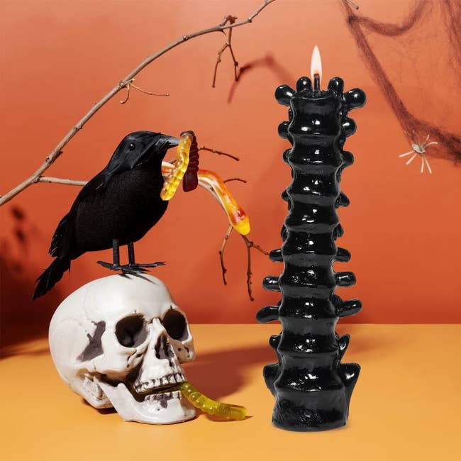 the spine shaped candle with a faux skull and raven