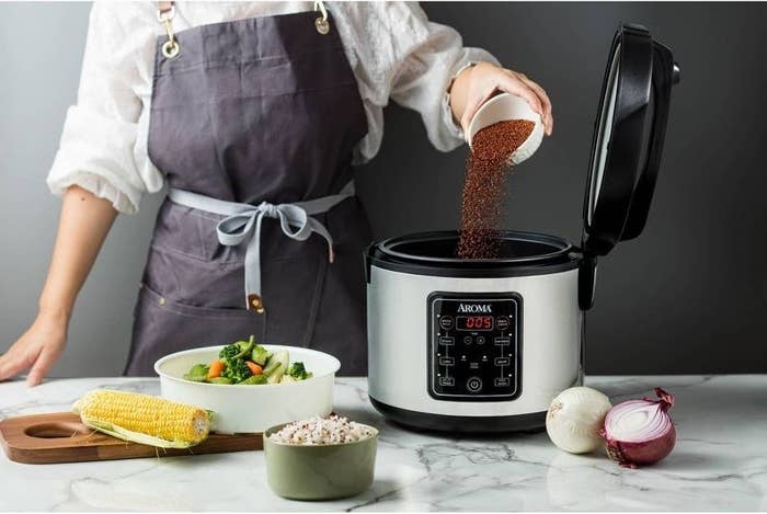 model cooking with rice cooker