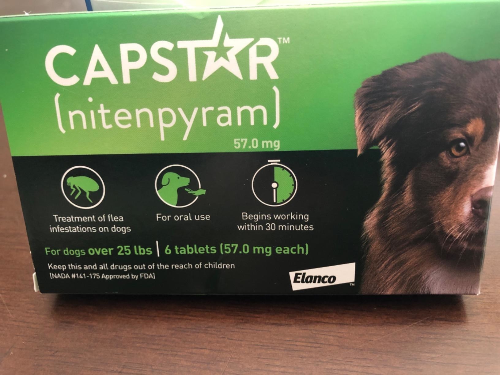 the capstar flea treatment for dogs over 25 pounds