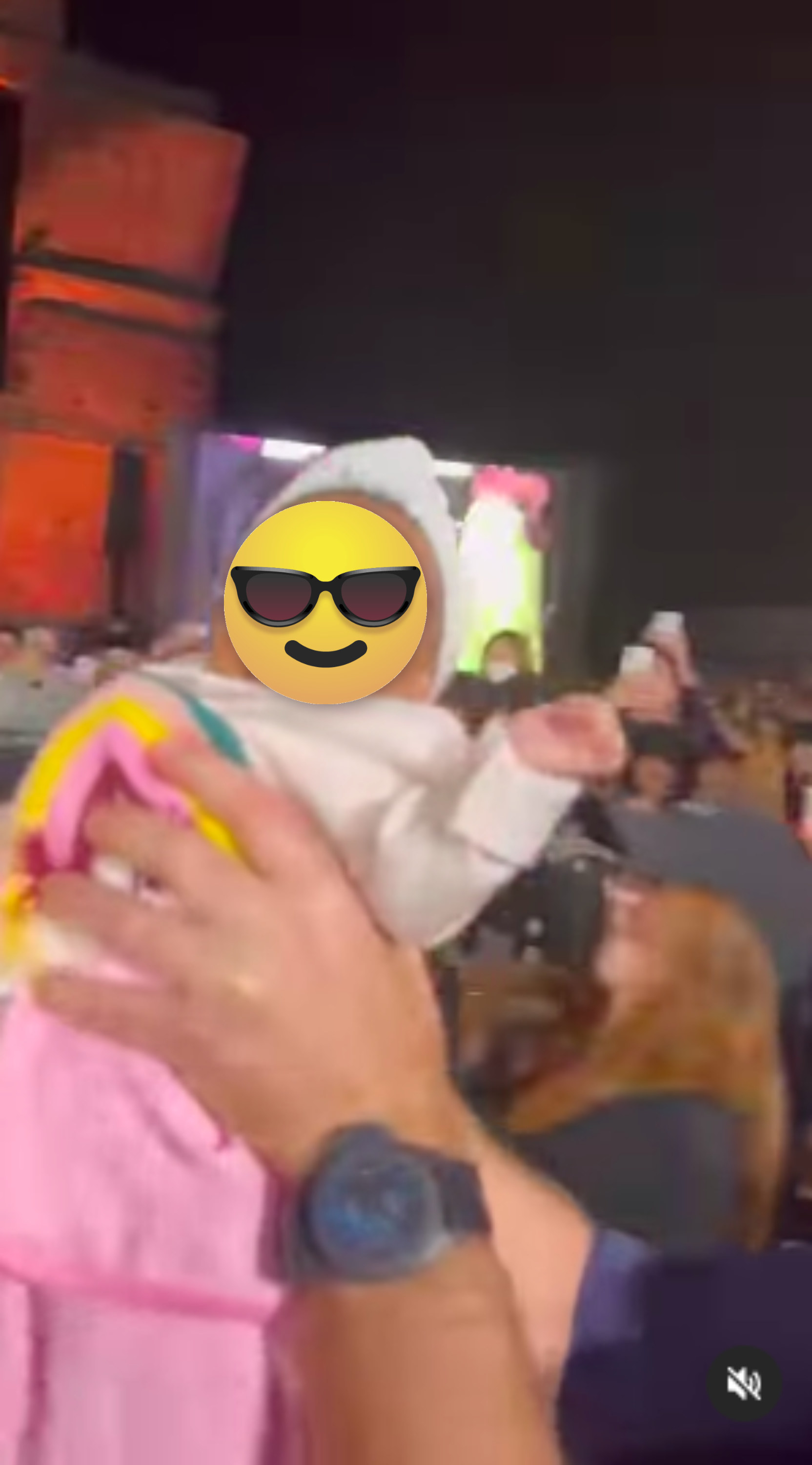 The Baby That Crowd Surfed To The Rock - 57