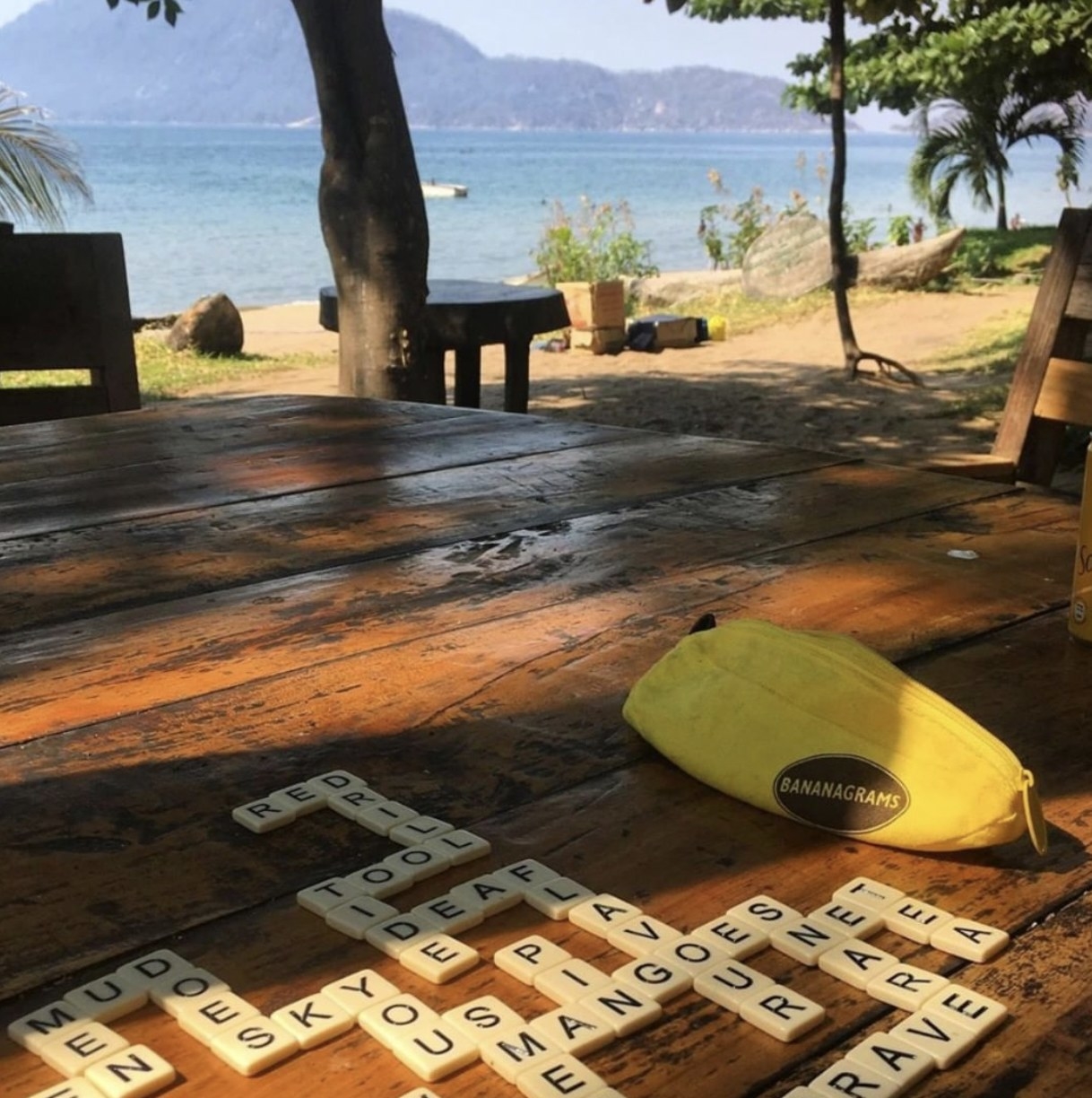 The game being played on outdoor table by water