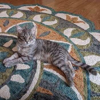 different reviewer's cat on rug showing material