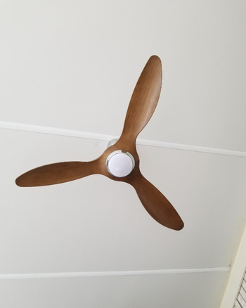 reviewer's fan on porch