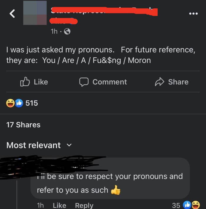 someone says their pronouns are you are a moron and gets roasted