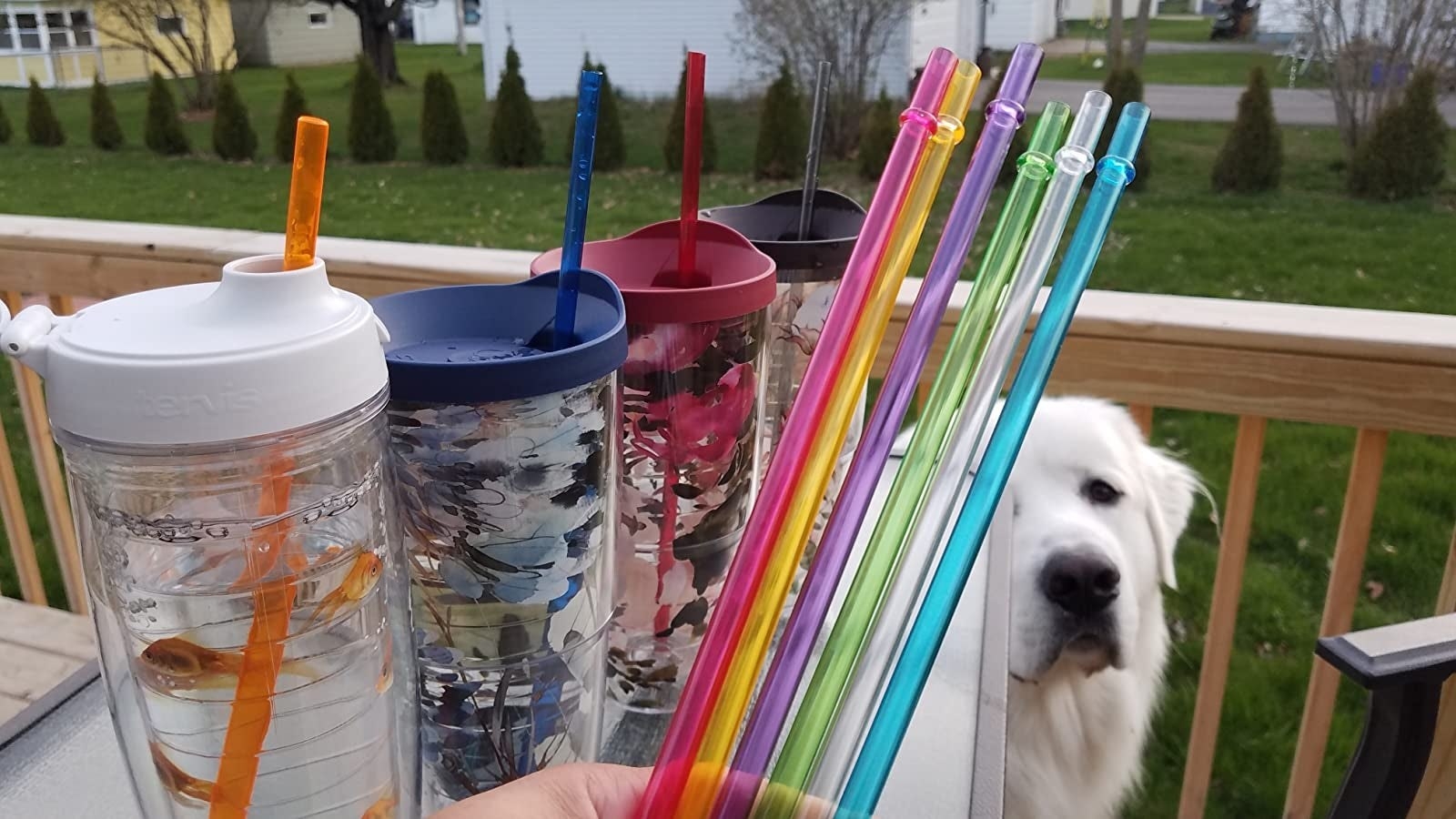 a reviewer photo of the straws in tumblers