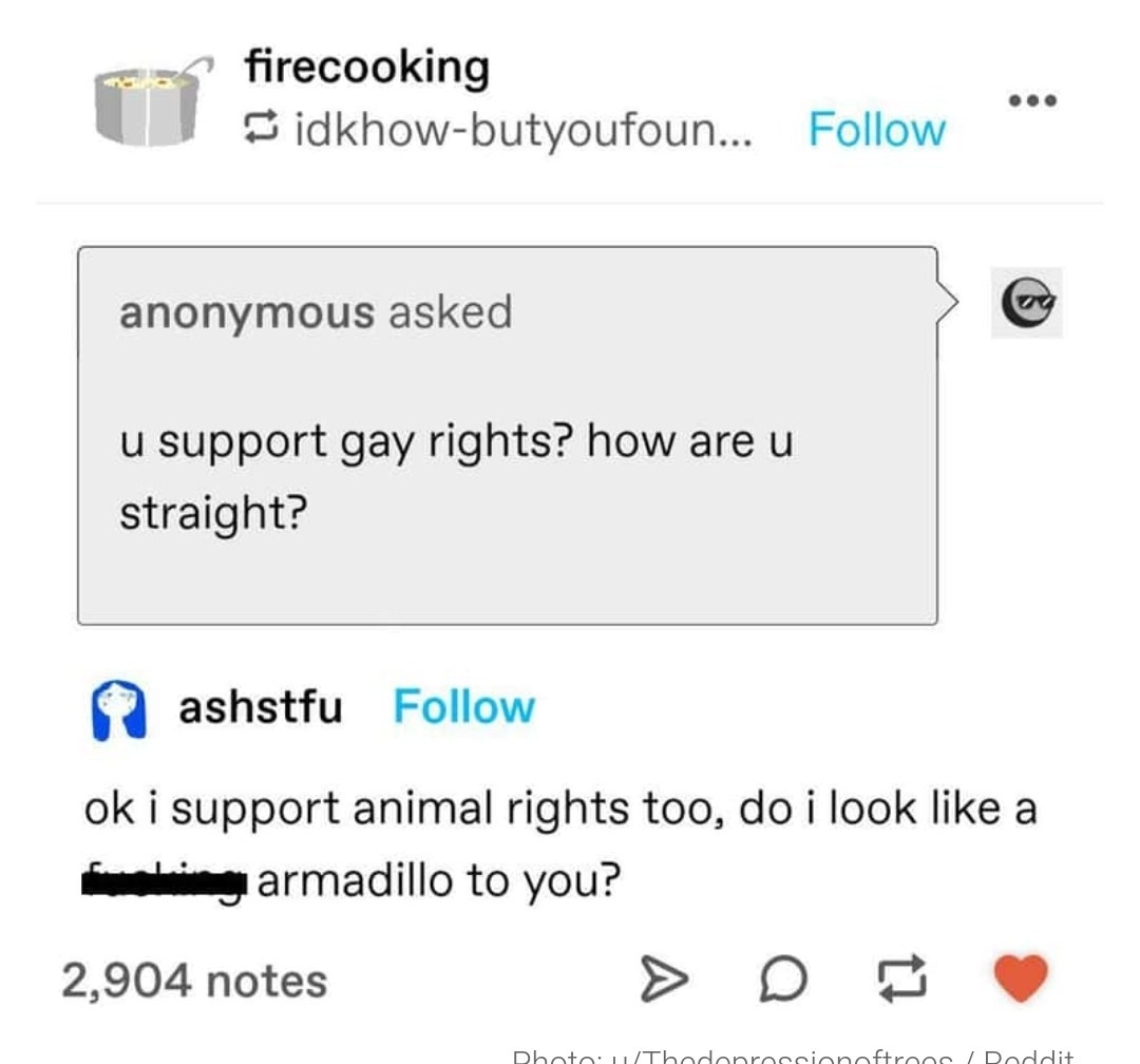 someone asks why someone supports gay rights if they are straight and they say i am not am armadillo and i support animal rights