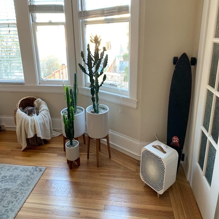 Reviewer's air purifier is shown in a living room
