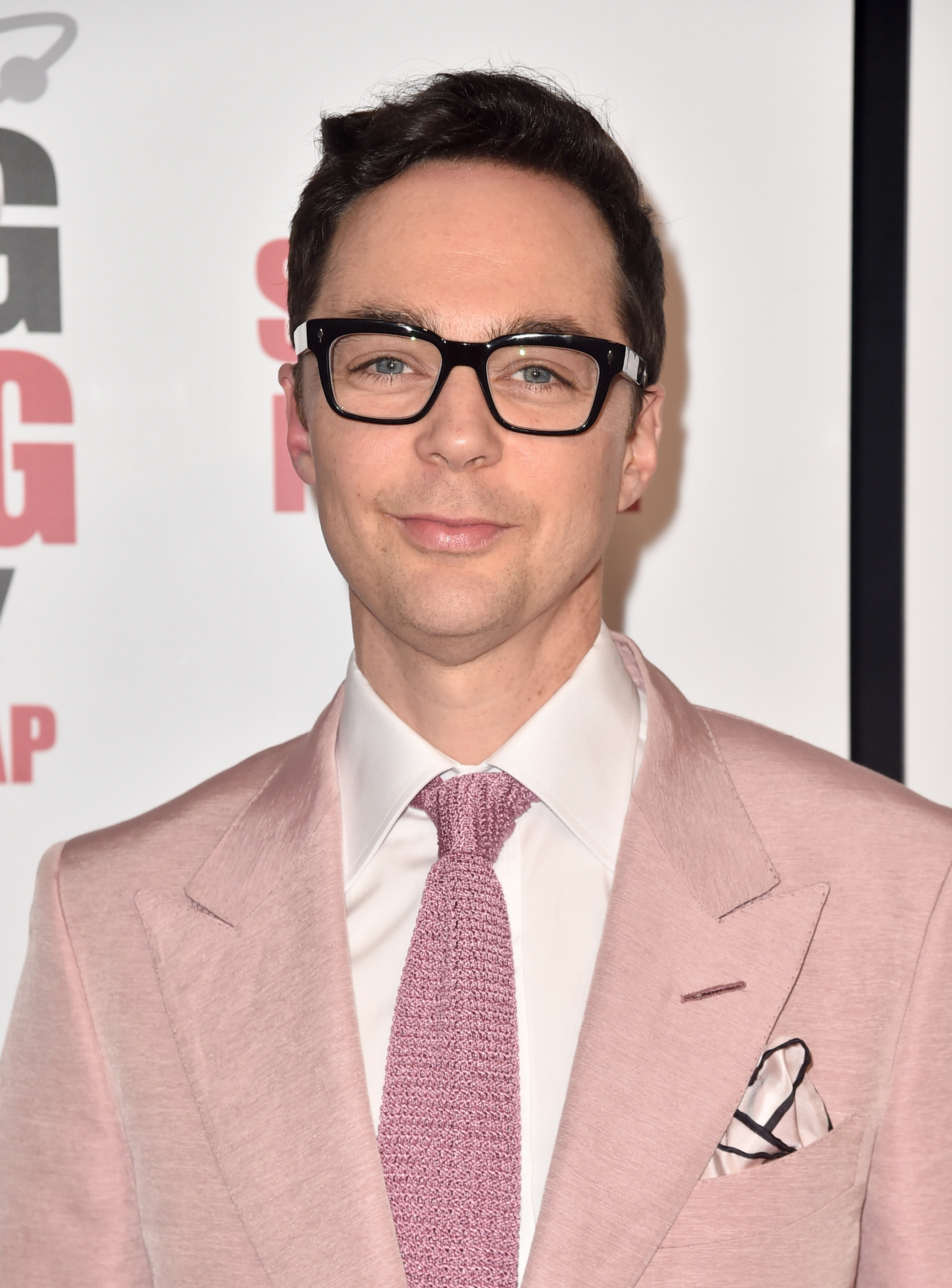 A closeup of Jim Parsons at a red carpet event wearing a suit and tie