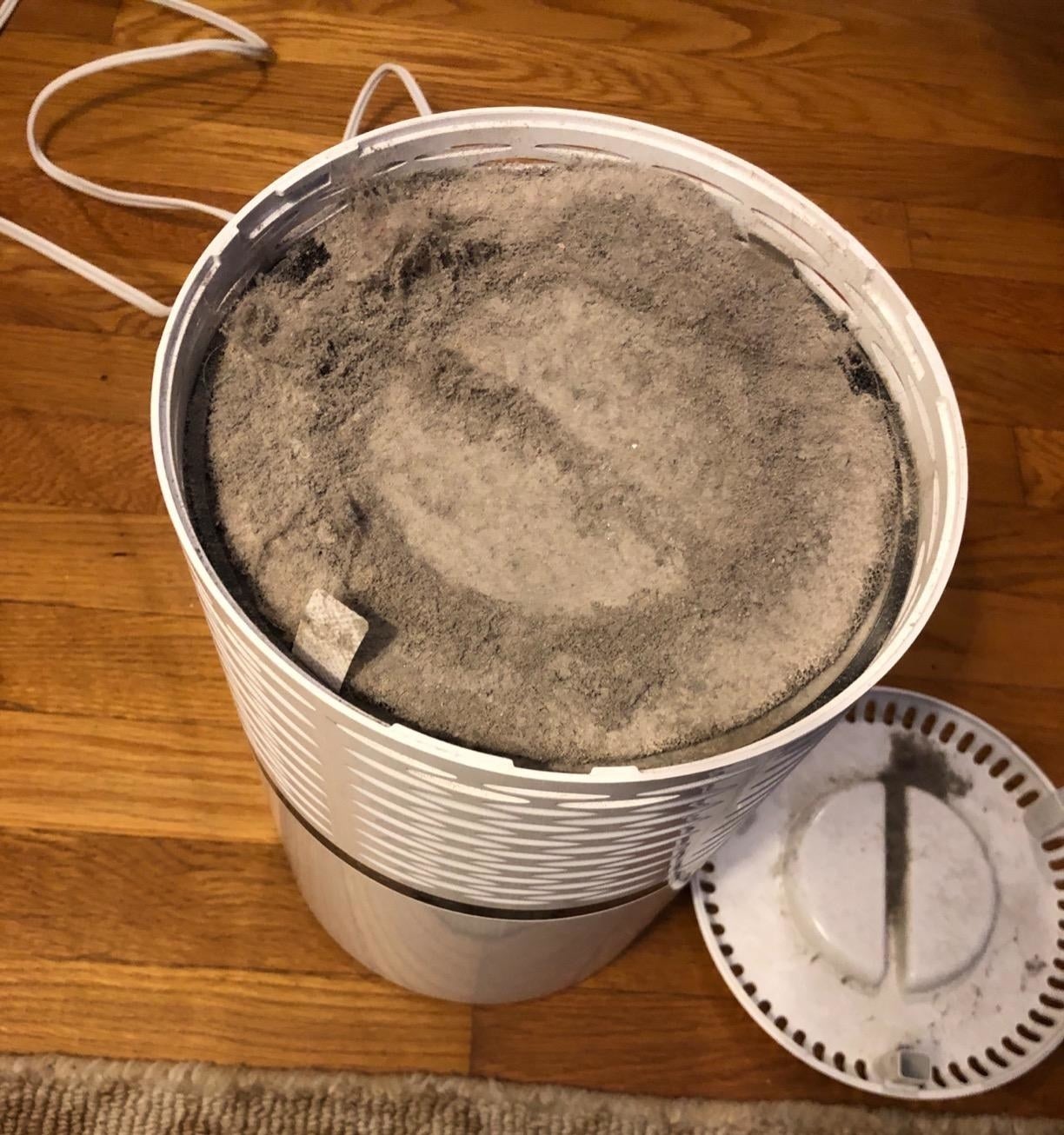 reviewer&#x27;s air purifier filter covered in filth