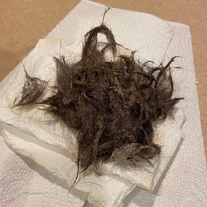 a clump of hair pulled from cleaning with the hoover