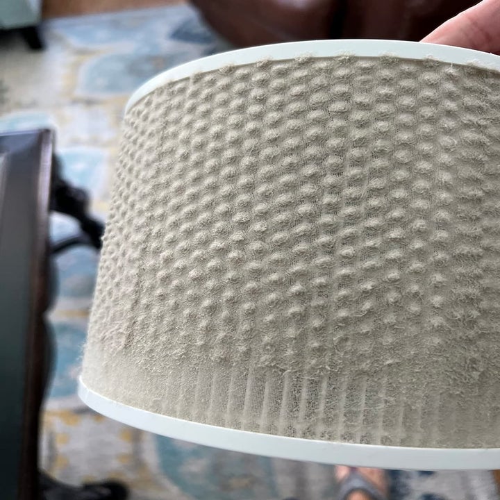 a reviewer's used filter showing all of the allergens the air purifier caught