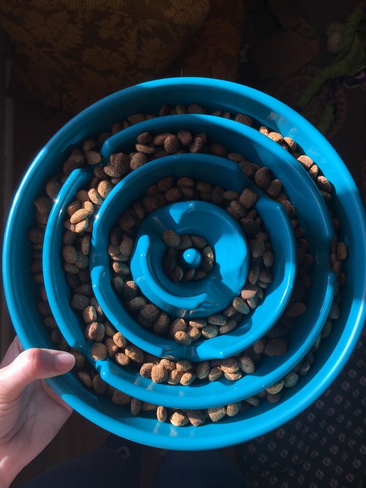 reviewer photo of the blue ridged bowl with dog food in it