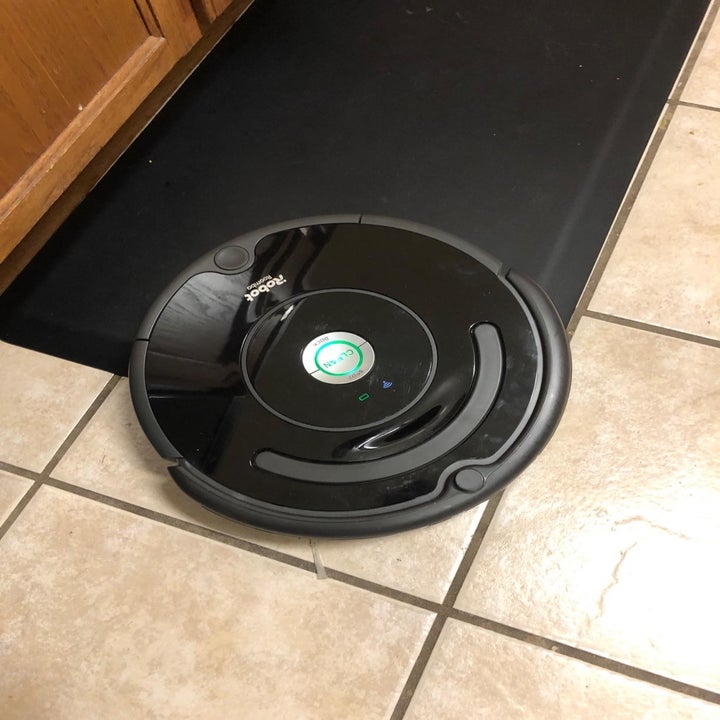 Reviewer's roomba