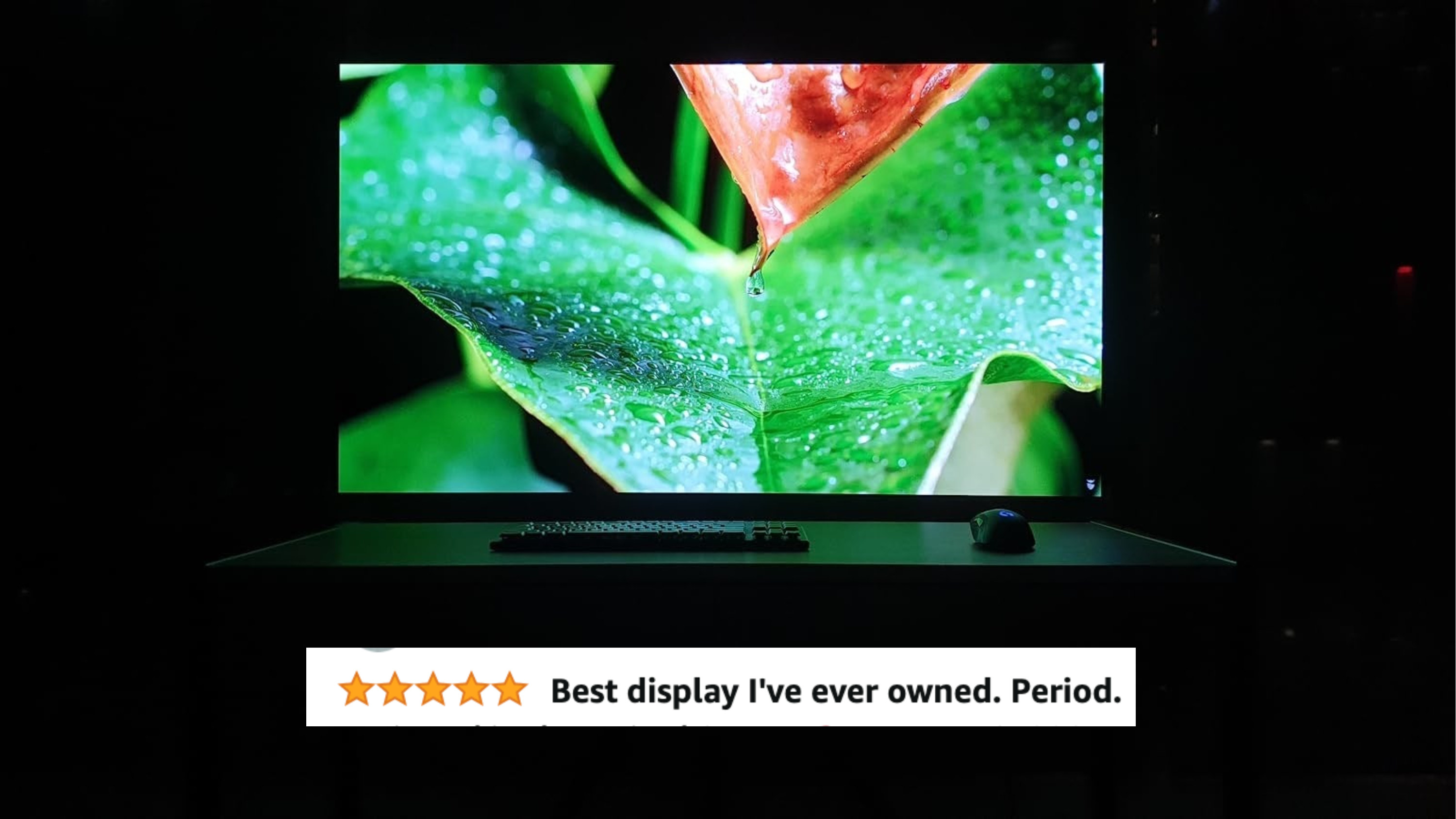 a reviewer&#x27;s tv with a very detailed shot of a wet leaf on the screen and a 5-star review titled &quot;best display I&#x27;ve ever owned. period&quot;