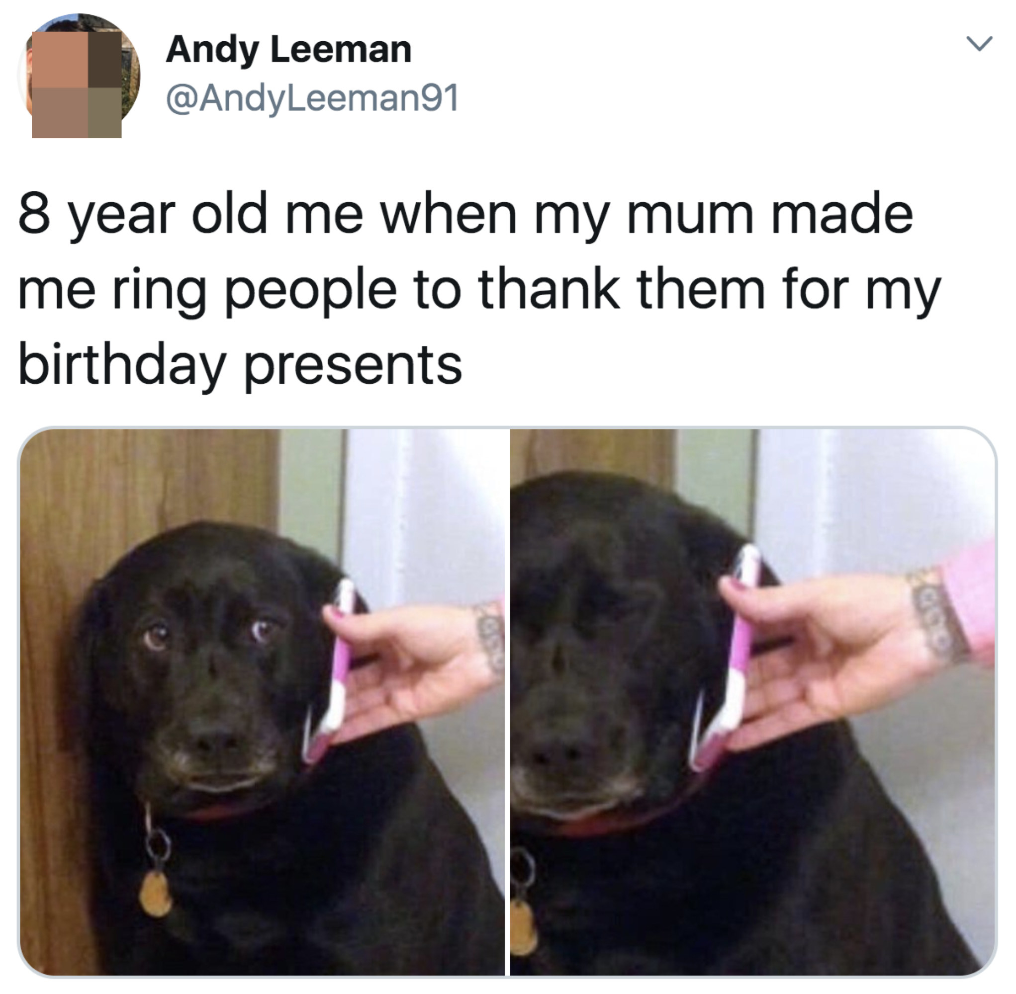 Tweet with a nervous-looking dog reading &quot;8-year-old me when my mum made me ring people to thank them for my birthday presents&quot;