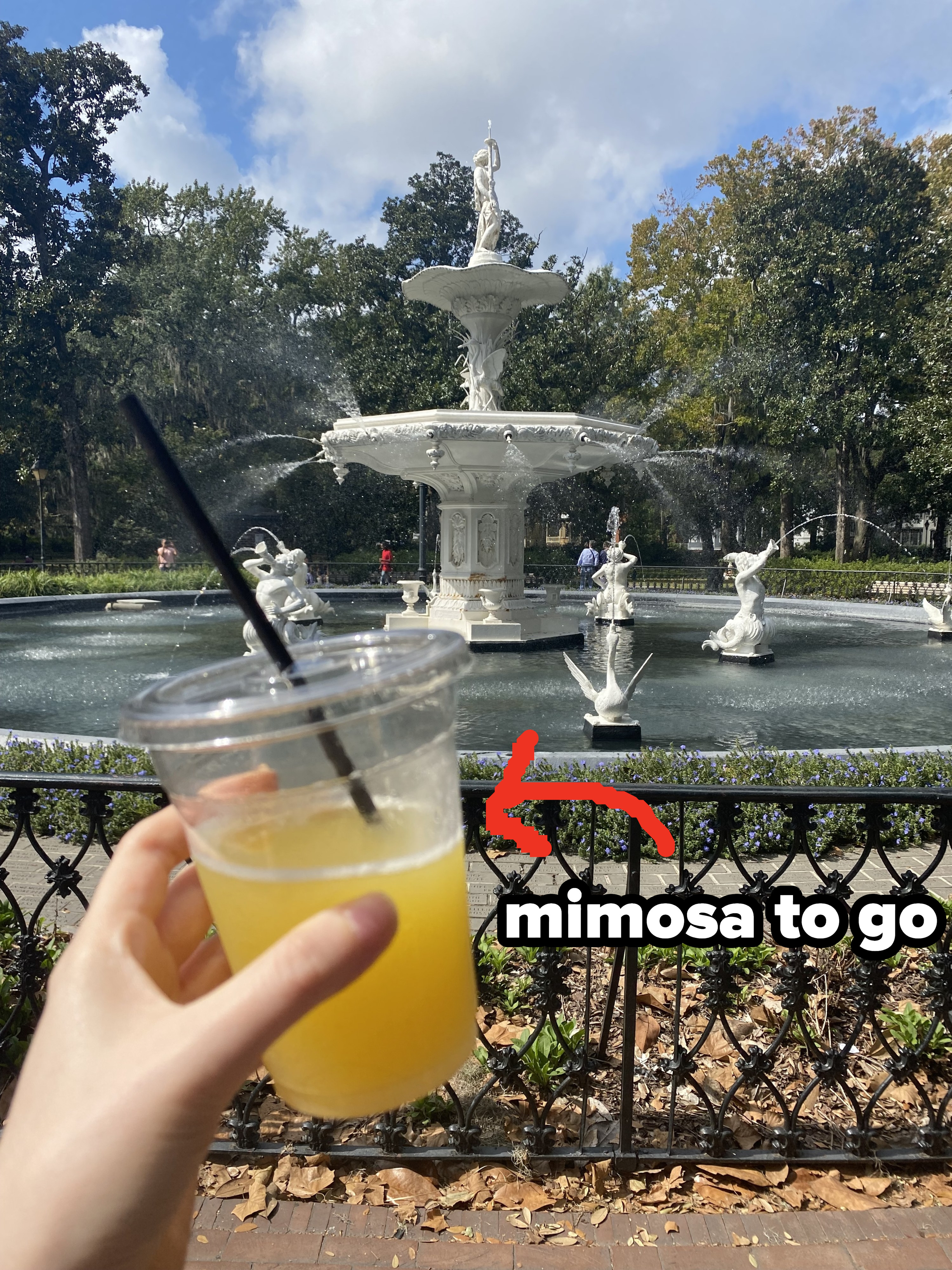 hand holding a to go mimosa in front of ornate fountain in Forsyth Park in Savannah Georgia