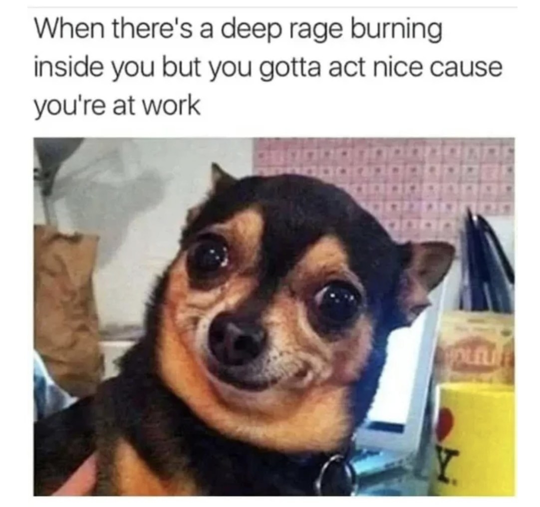 Dog with big eyes and text reading &quot;when there&#x27;s a deep rage burning inside you but you gotta act nice cause you&#x27;re at work&quot;