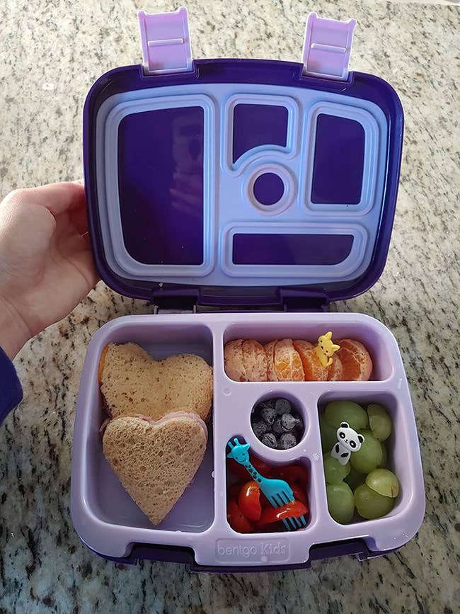 reviewer image of the five compartment bento box each full of food
