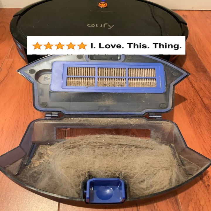 A reviewer's robovac bin filled with dust and hair