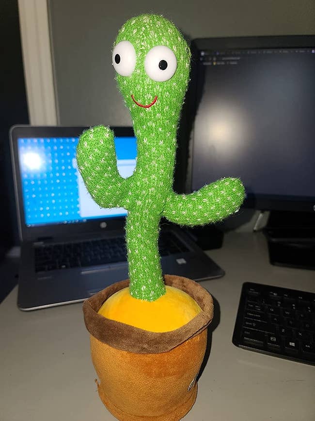 the singing, dancing cactus toy