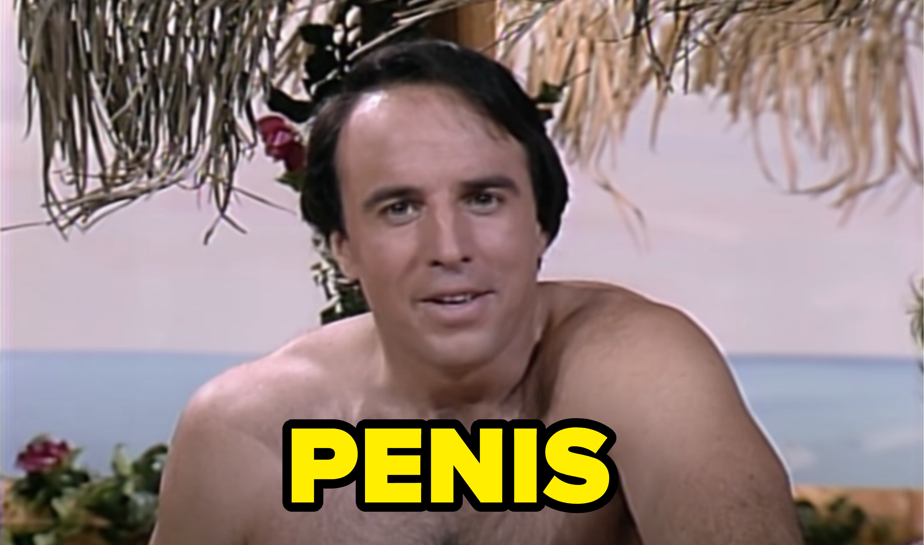 Kevin Nealon saying, &quot;Penis&quot;