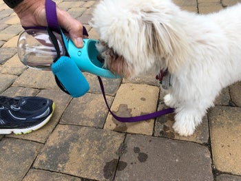 a reviewer photo of someone using the bowl bottle to give water to a dog out on a walk