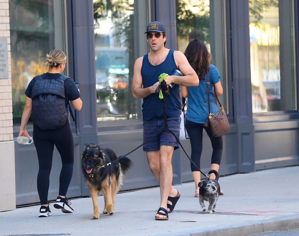 Zachary Quinto walking his dogs