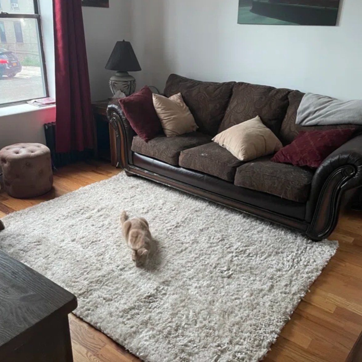 a greu rectangular shag rug with a cat on it in a living room