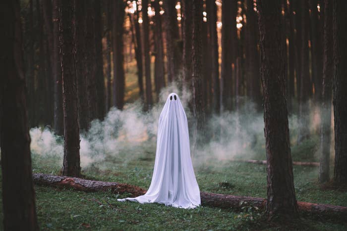 A ghostly figure standing in the woods