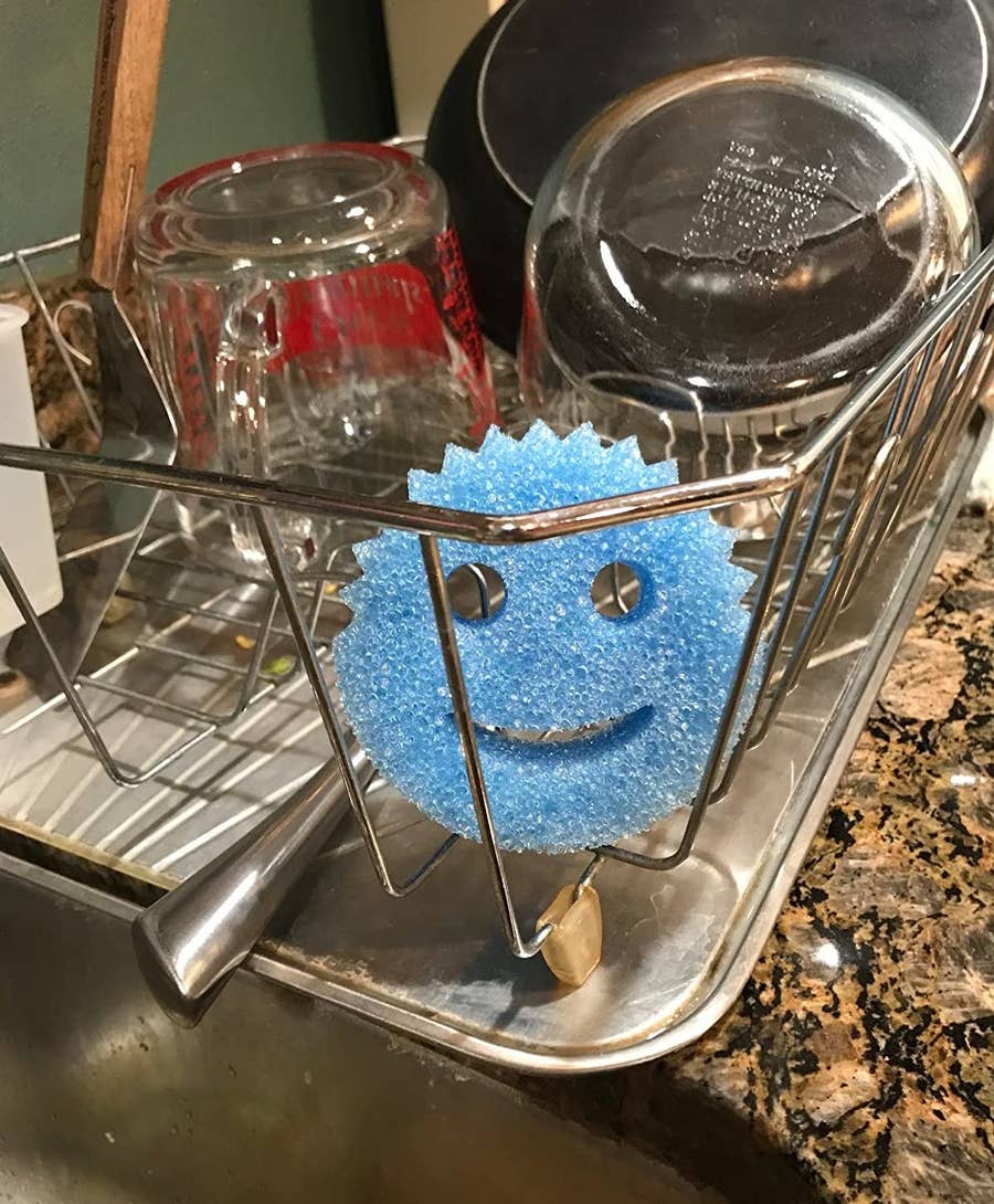 This Amazing Sponge From Shark Tank Is Just What You Need To Clean  Virtually Anything In Your Home