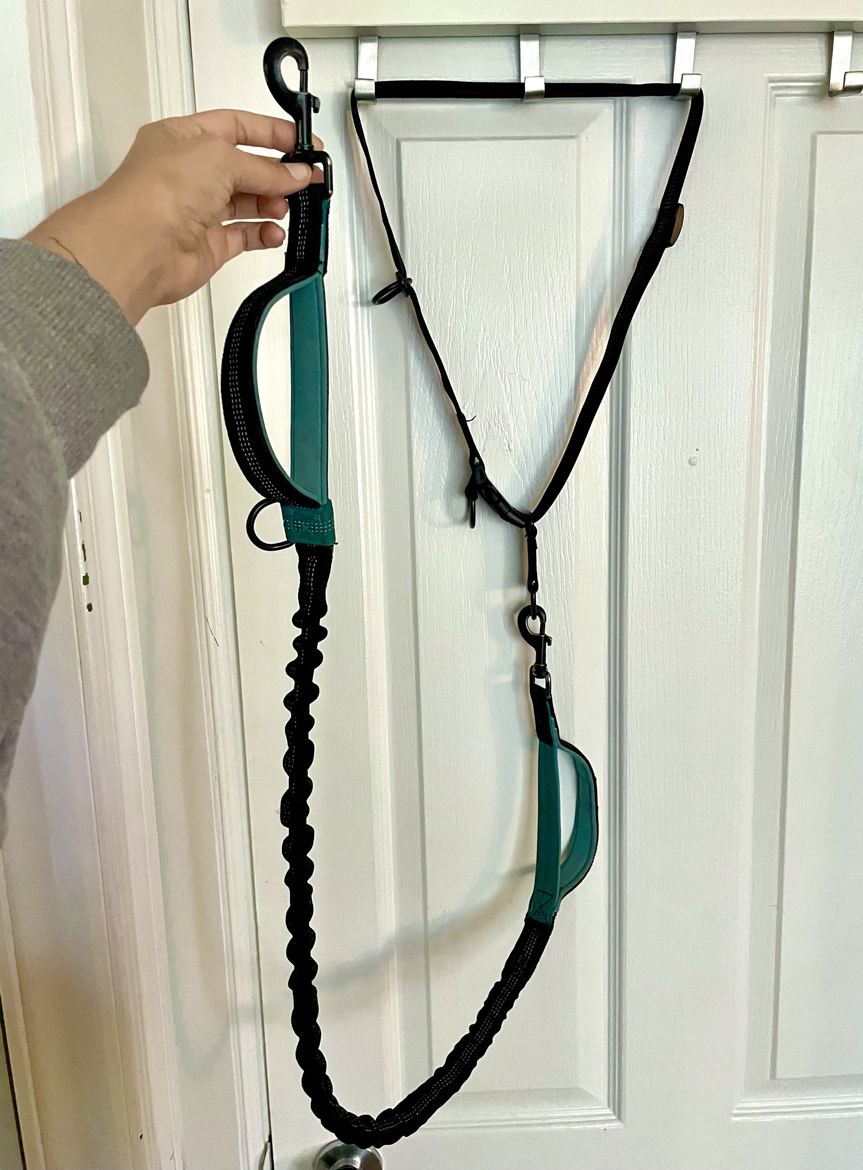 the bungee leash with a waist attachment