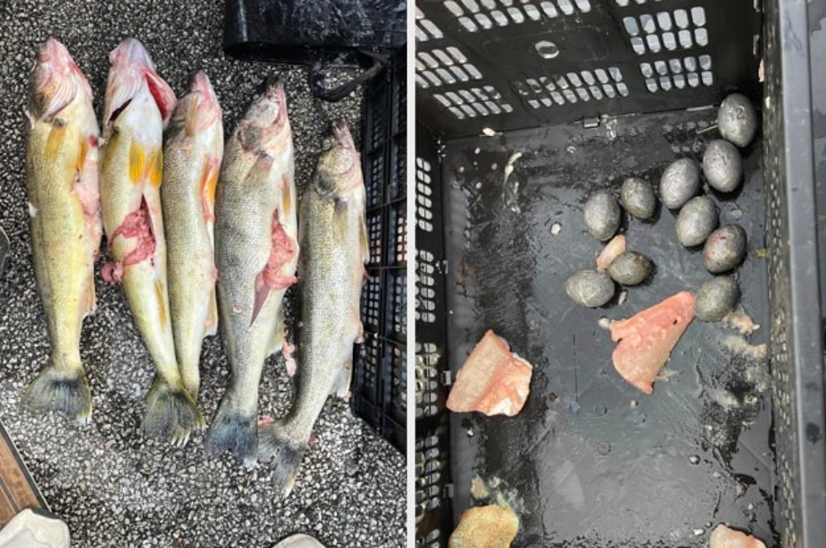 Two Charged In Cheating During Ohio Fishing Competition
