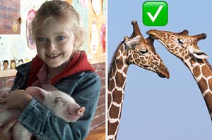 Dakota is holding a pig on the left with giraffes on the right marked with a check