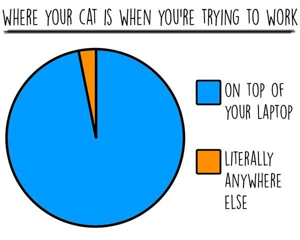 Drawn pie chart of where your cat is when you&#x27;re trying to work. Majority of the circle is blue, meaning on top of your laptop, a tiny slice is orange, meaning literally anywhere else
