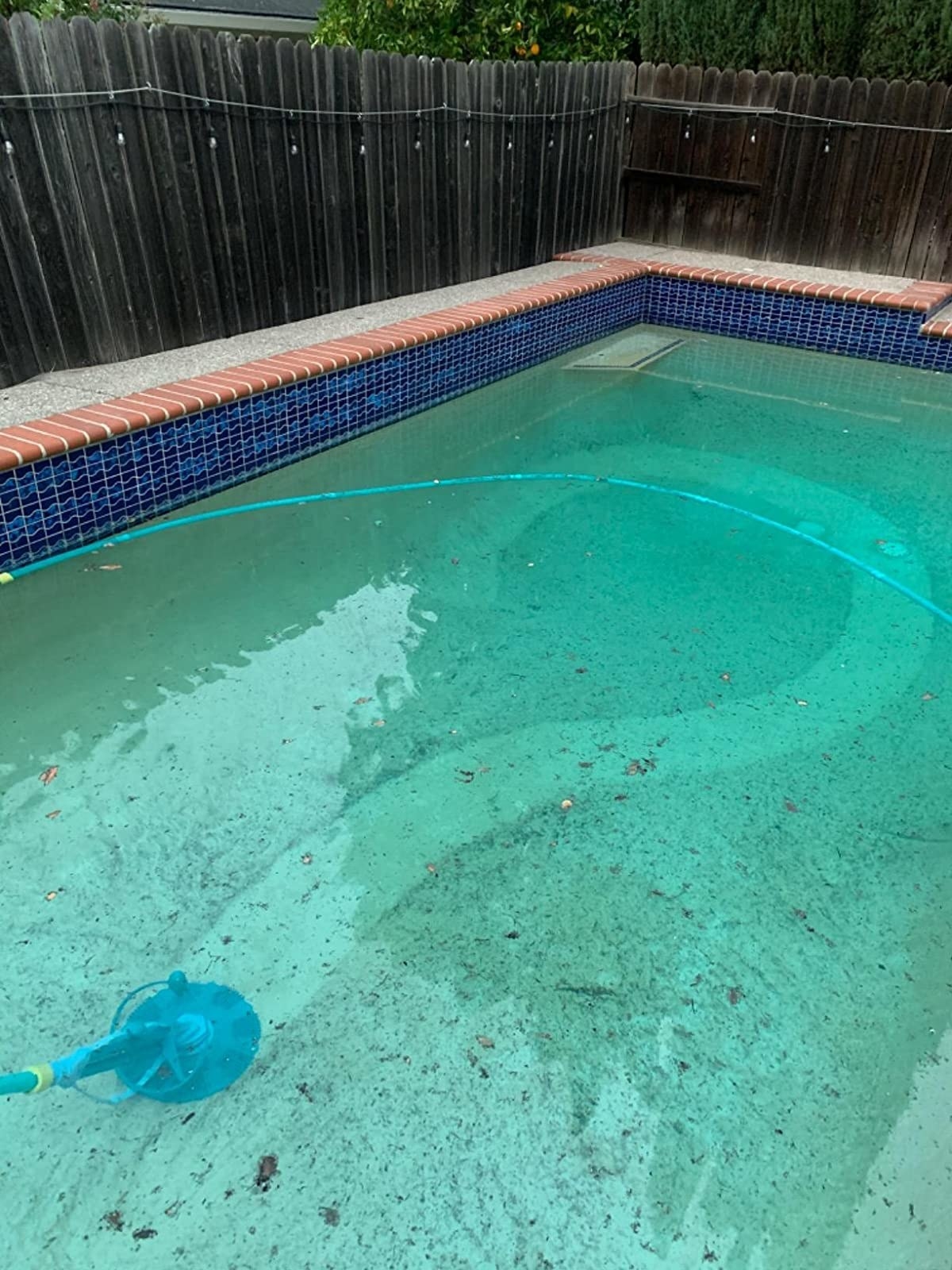 The vacuum in use and you can clearly see the clean streak on the pool floor that has been vacuumed