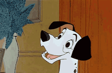 a cartoon dalmatian getting their nose booped from the movie101 dalmatians