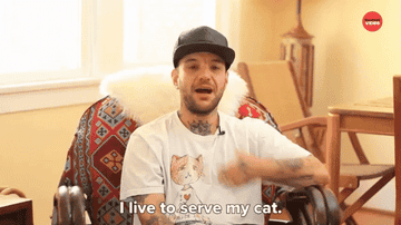 Gif of someone saying &quot;I live to serve my cat&quot;