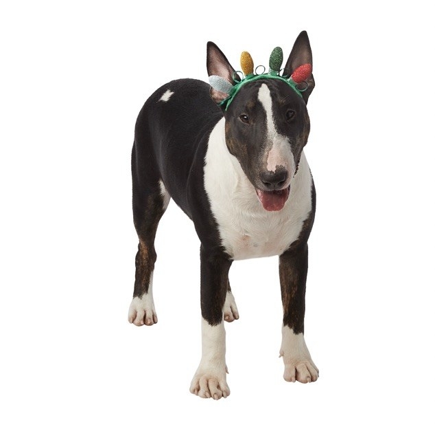 Here Are 16 Gifts For Your Pet Under  15 They ll Be Obsessed With This Holiday Season - 83