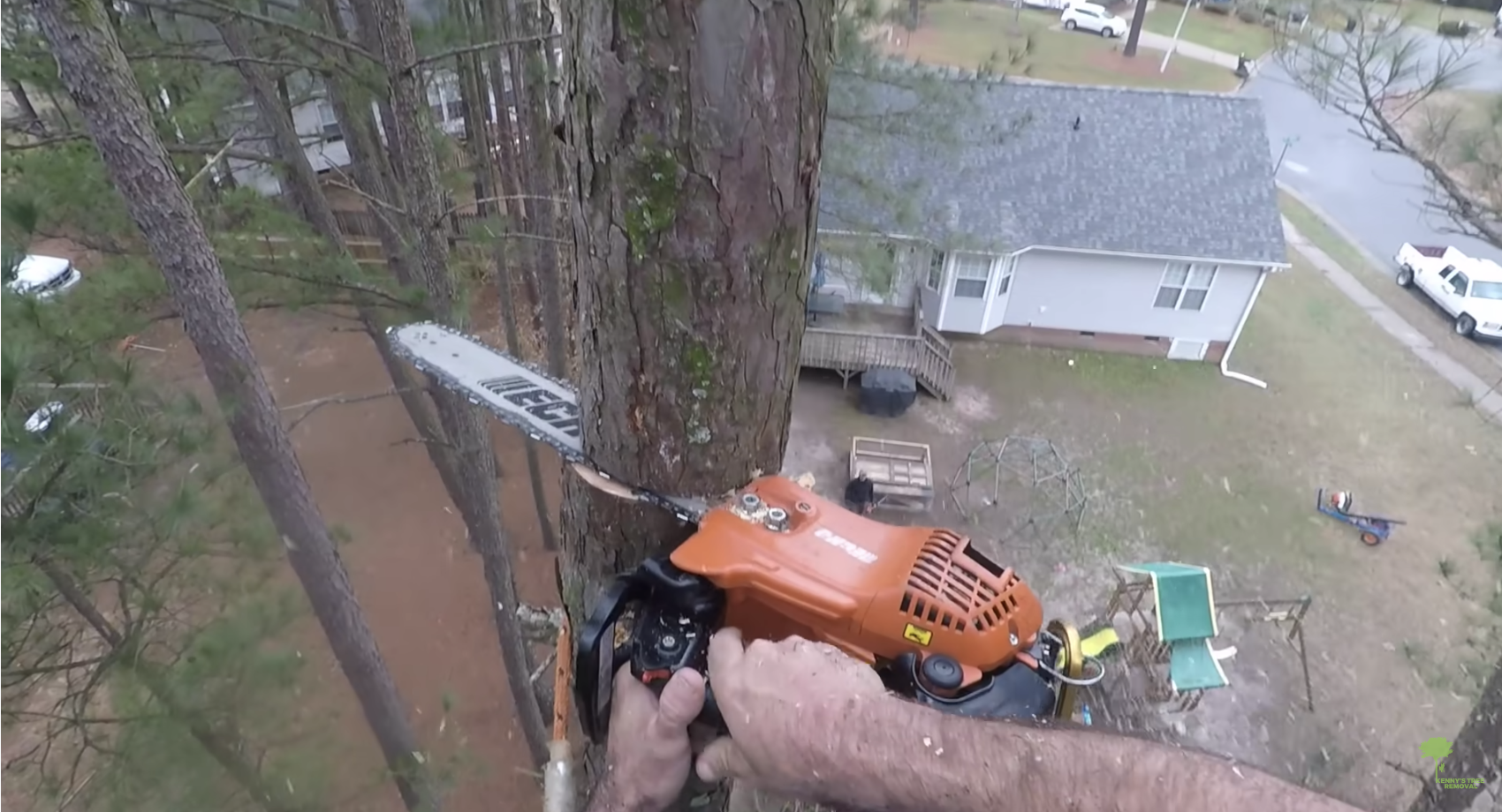 tree removal working chopping off the top of a pine tree