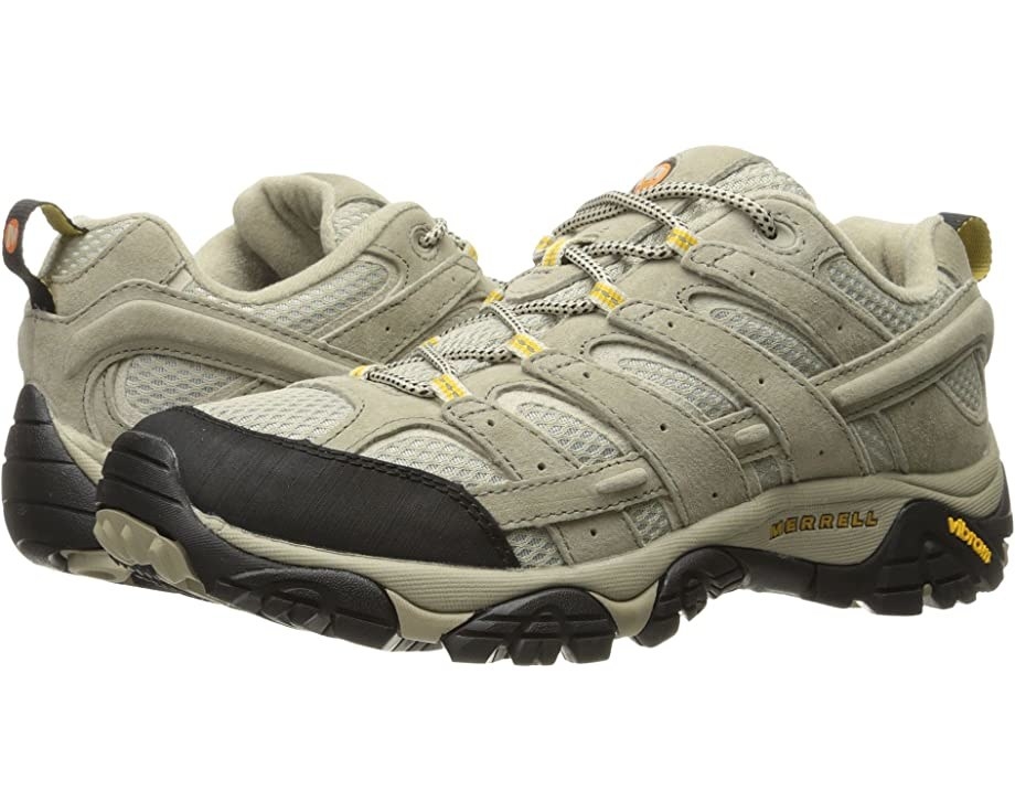 The pair of hiking shoes