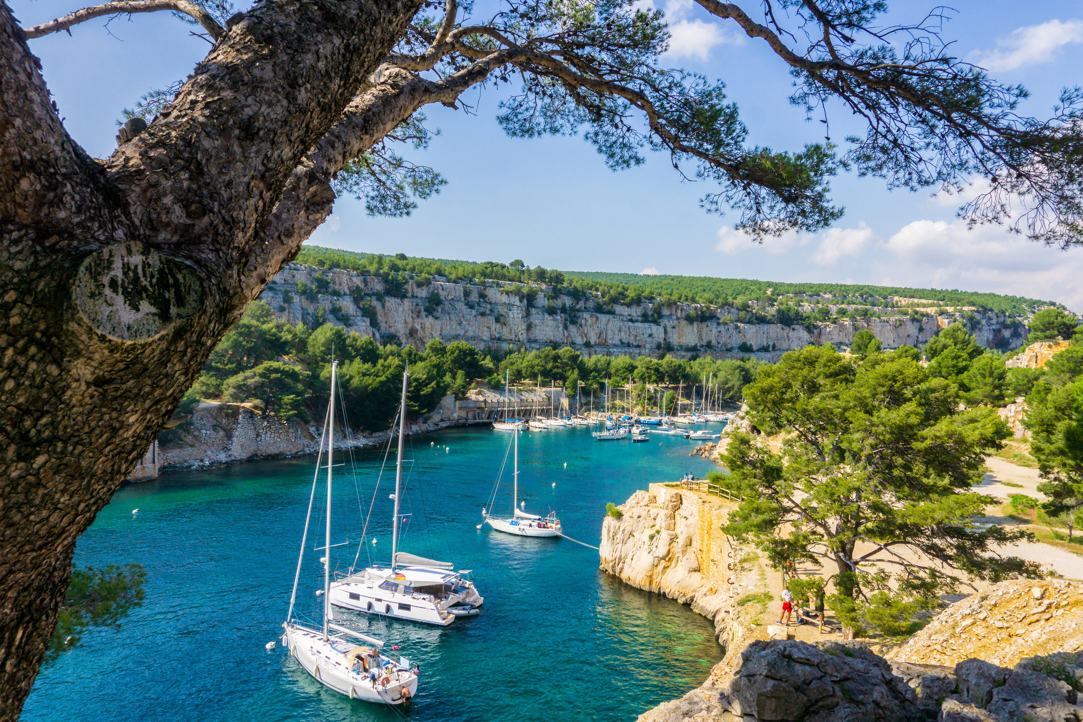 Beautiful nature of Calanques on the azure coast of France