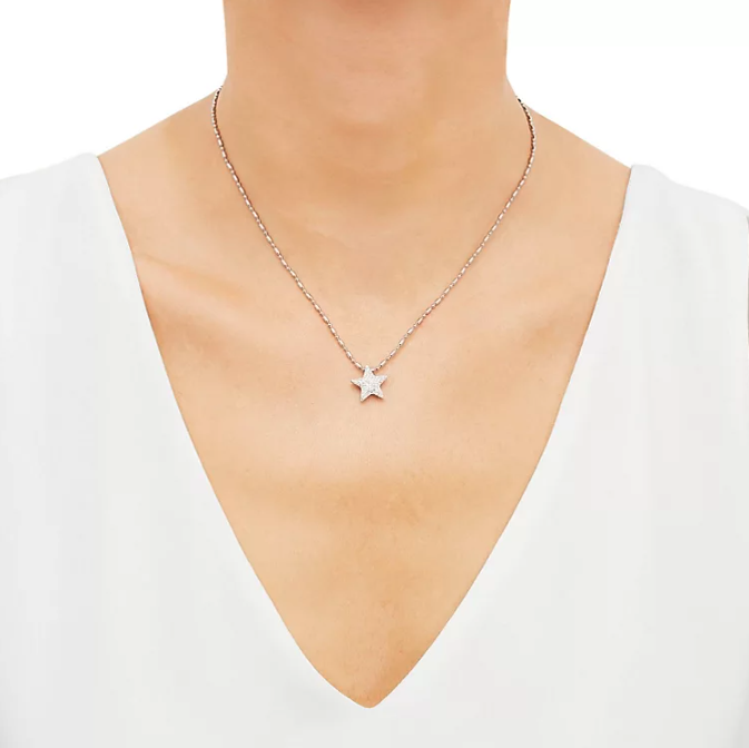 A person wearing the star pendant