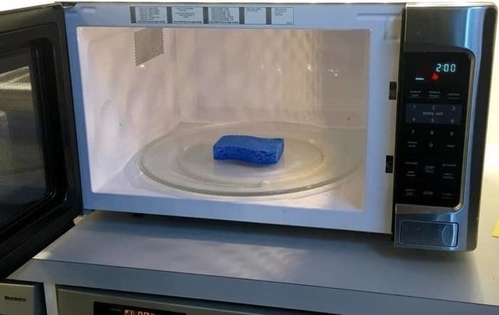 A sponge in a microwave