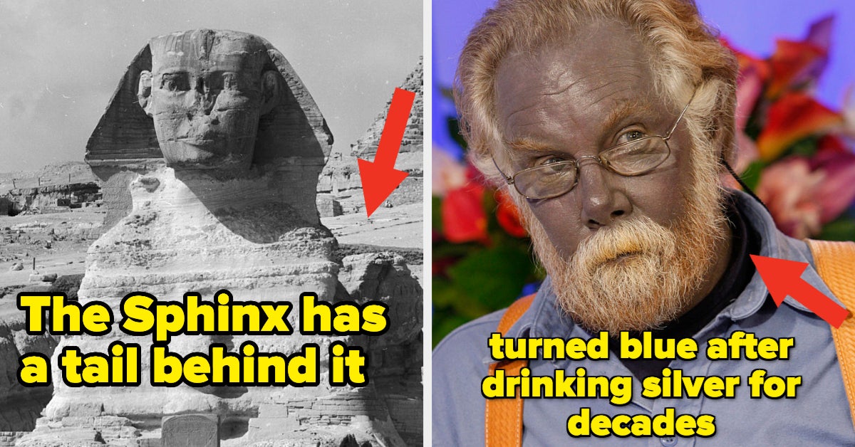 My Dumb Little Brain Is Completely Blown After Seeing These 20 Absolutely Fascinating Pictures For The First Time