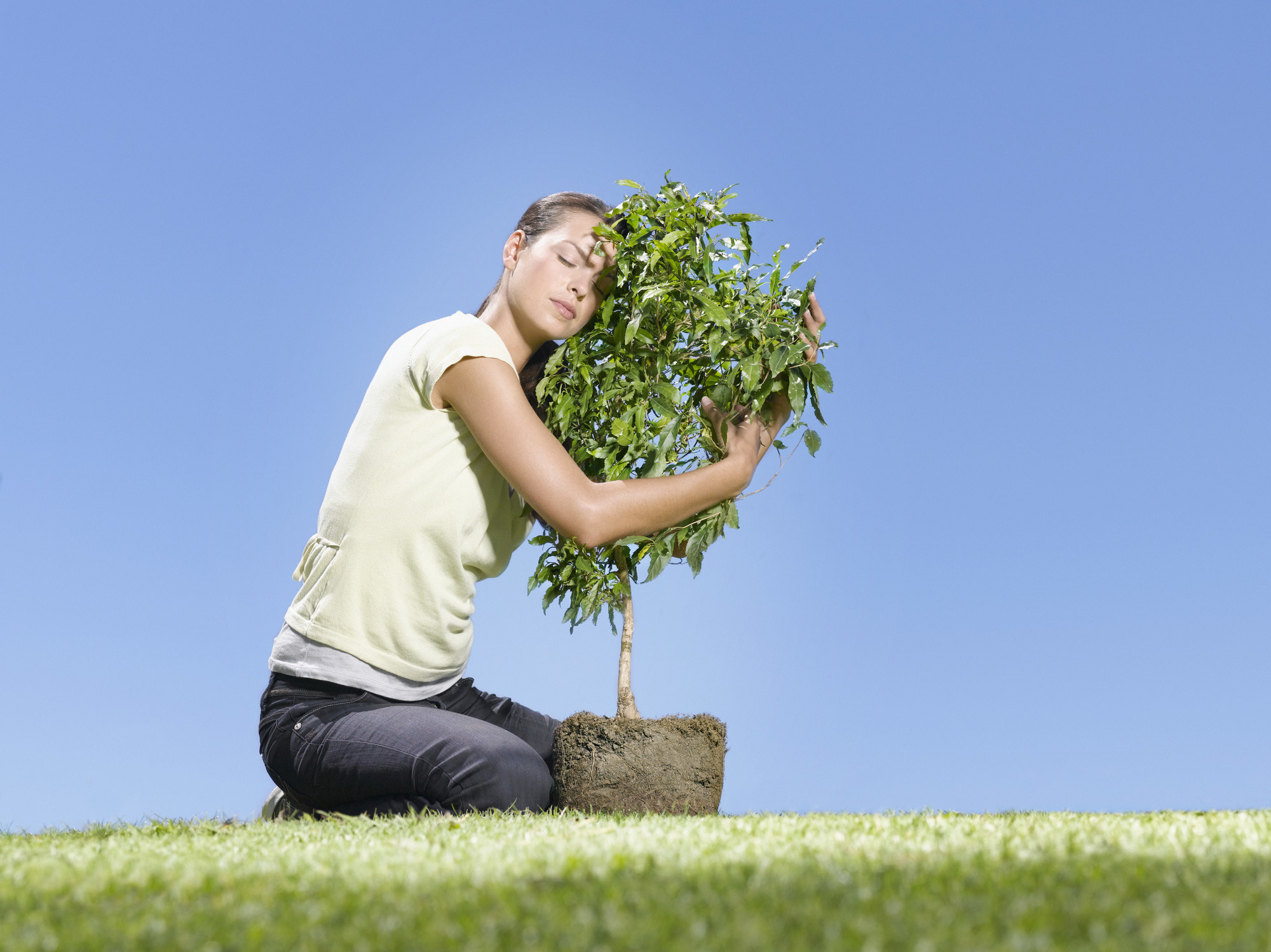 一个女人拥抱一种植物