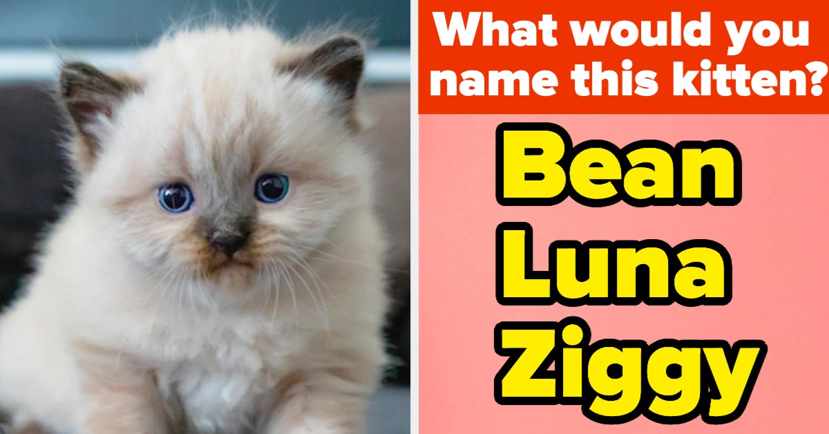 Name These Pets And Discover Which Animal You Were