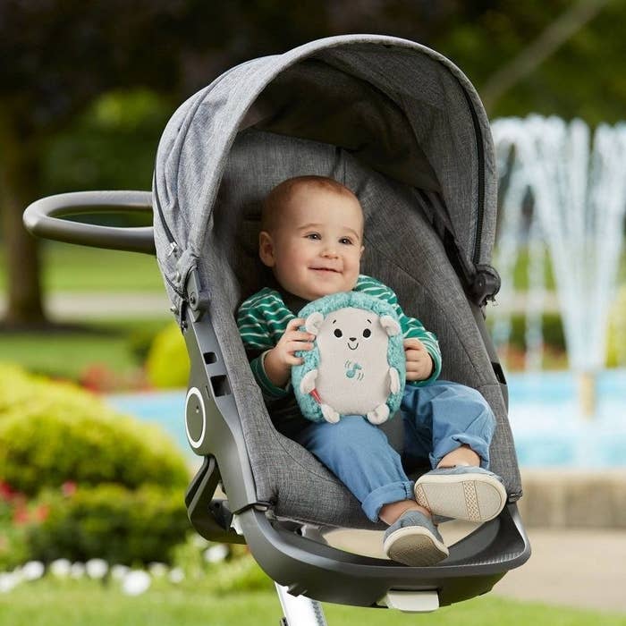 Baby on stroller holding hedgehog